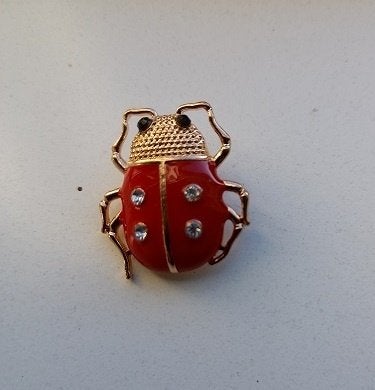 Goudkleurige broche lieveheersbeestje zwarte oogjes, Verzenden, Nieuw, Rood, Overige materialen