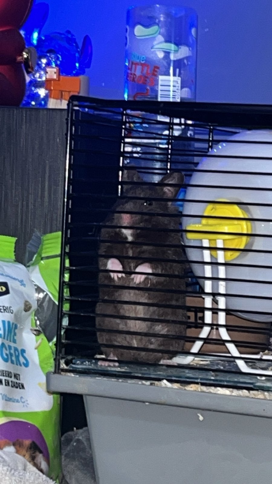 Hamster met kooi, Dieren en Toebehoren, Knaagdieren en Konijnen | Hokken en Kooien, Kooi, Minder dan 75 cm, Zo goed als nieuw