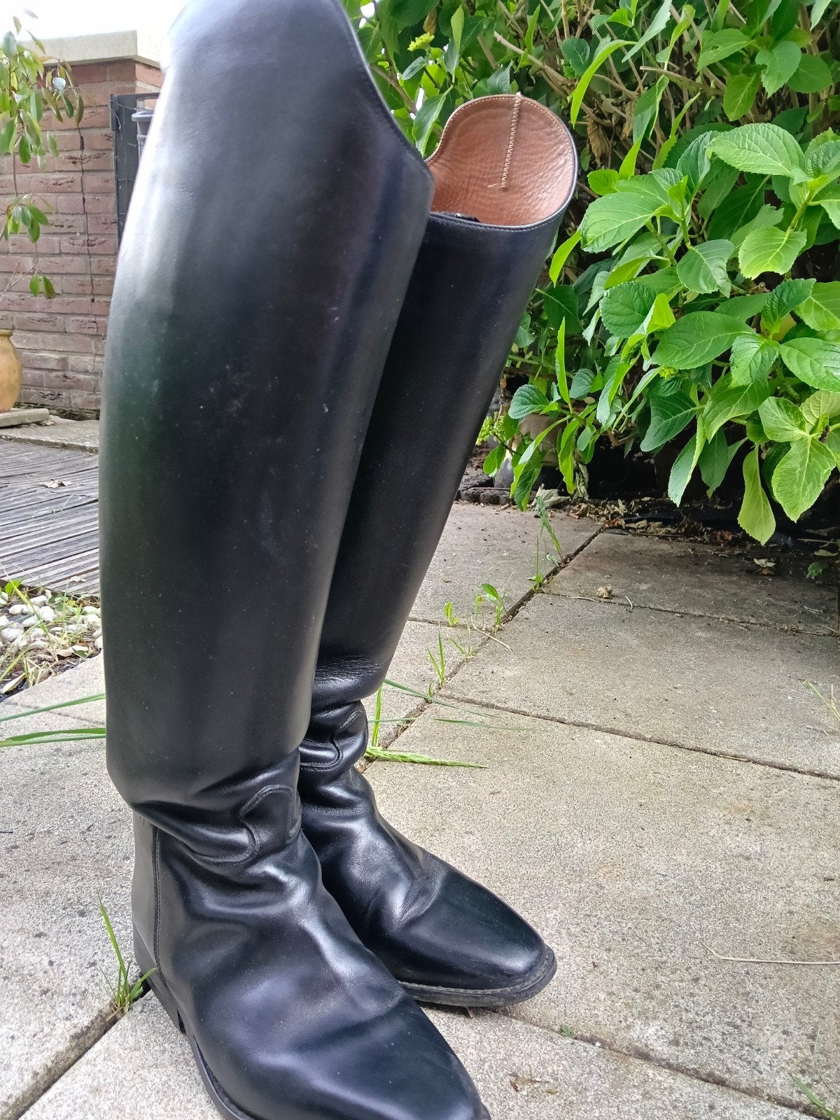 Petrie rijlaarzen maat 4, 1/2, Ophalen of Verzenden, Dressuur, Schoeisel
