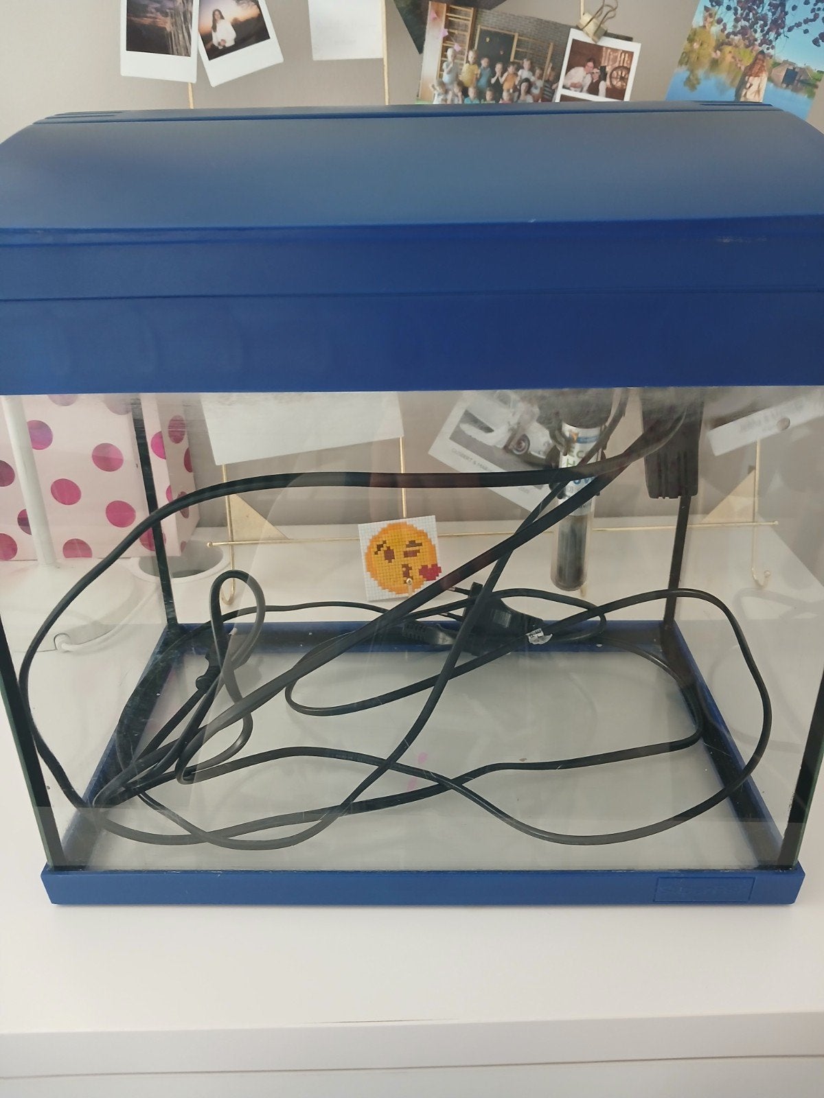 aquarium, Ophalen, Gebruikt, Leeg aquarium