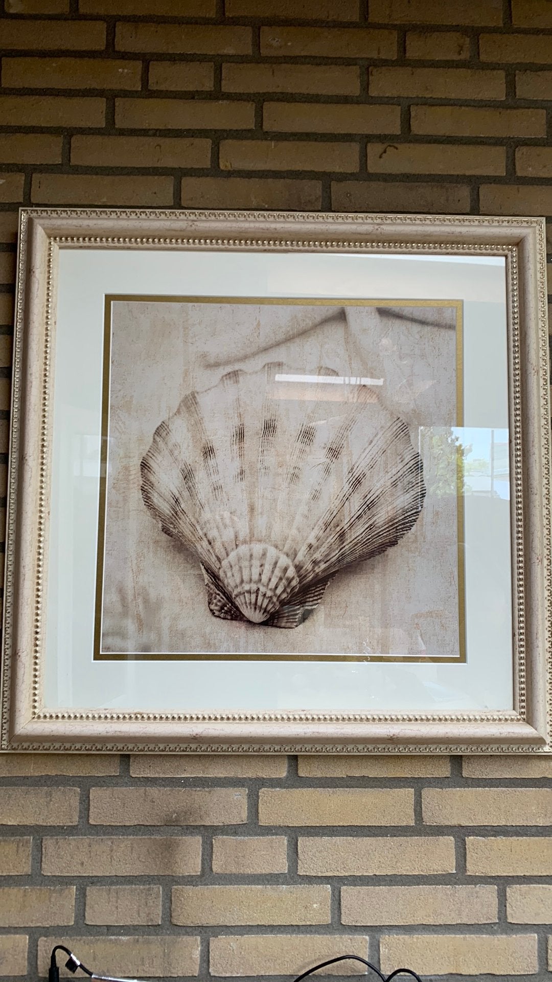 Decoratieve Schelp Print in Barokke Lijst  maat75/75, Huis en Inrichting, Ophalen, 50 – 75, 50 tot 75 cm, Print