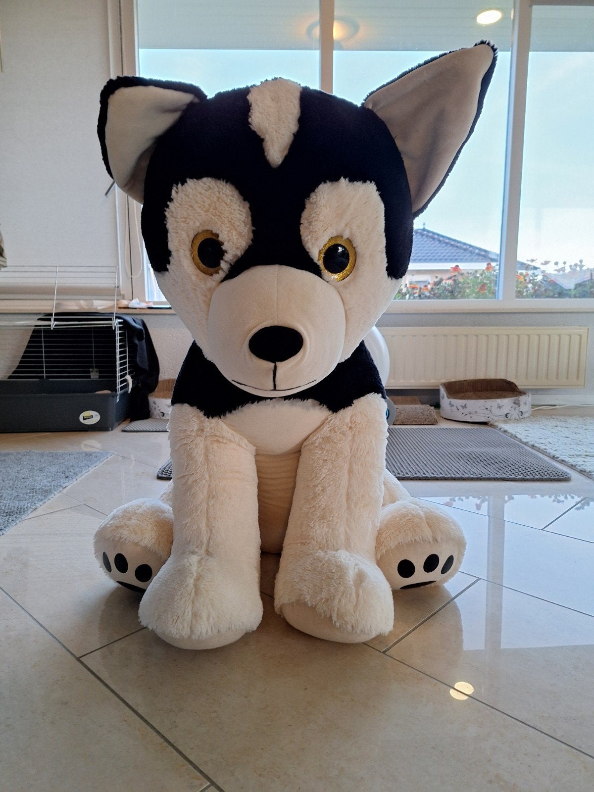Grote Husky Knuffel - ongeveer 1 meter hoog, Ophalen, Zwart, Hond, Zo goed als nieuw