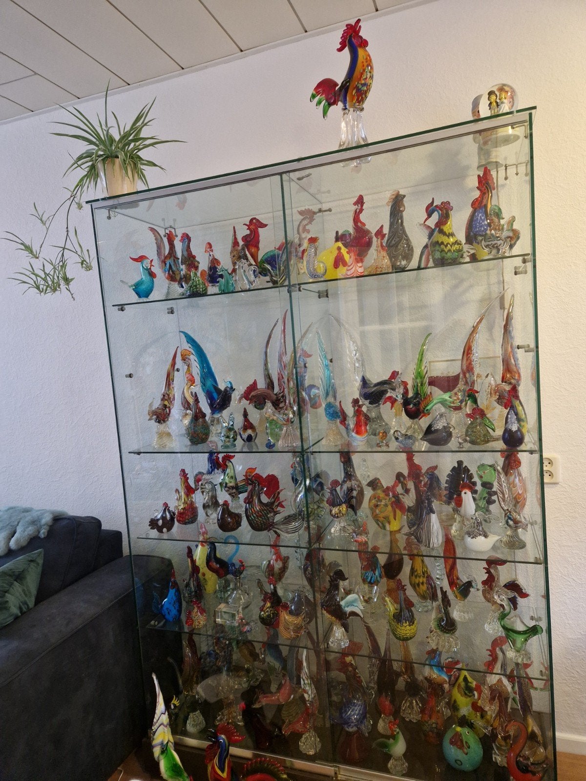 verzameling murano/ glazen hanen en kippen, Eén persoon