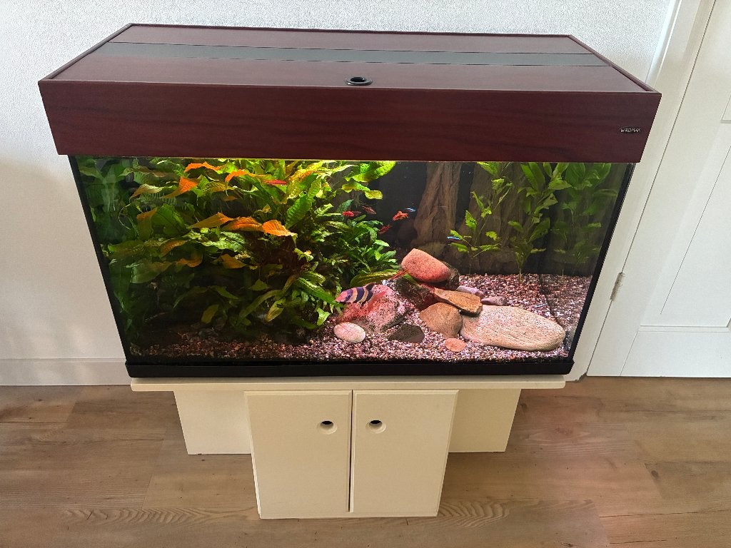 Aquarium met onderkast, Ophalen, Inclusief deksel, Gebruikt, Leeg aquarium