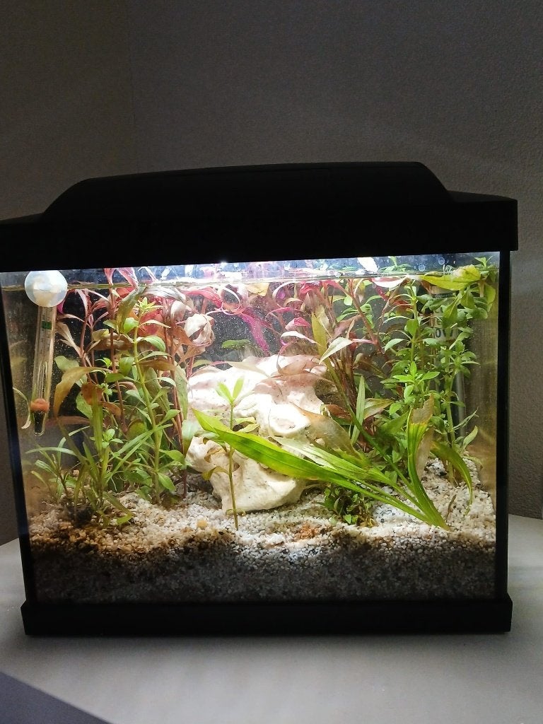 Compleet aquarium 20 liter zwart., Ophalen, Gebruikt, Leeg aquarium, Superfish