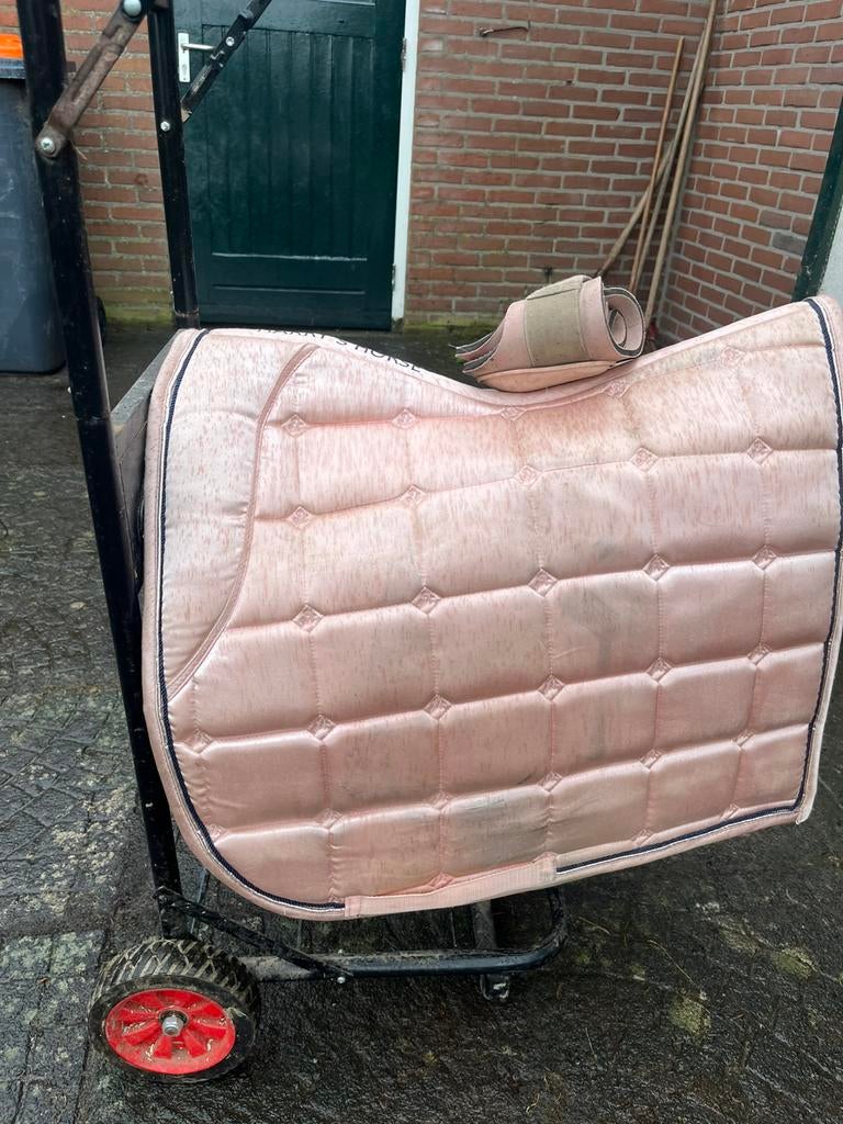 Leuk roze setje, Dieren en Toebehoren, Paarden en Pony's | Dekens en Dekjes, Ophalen of Verzenden, Zo goed als nieuw