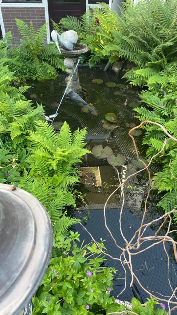 Vijver 3,5 bij 2 meter, inclusief pomp en water filter, Ophalen, Gebruikt