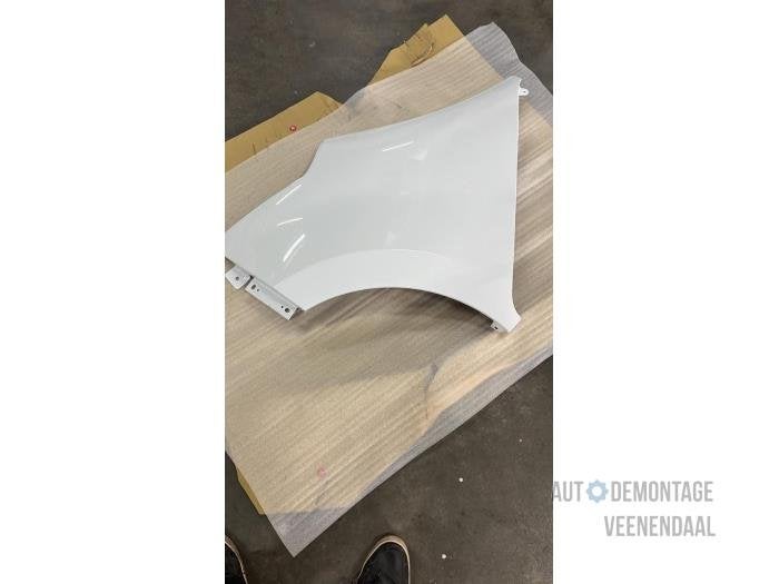 Scherm links-voor van een Renault Master (0369), -, Renault, -, Nieuw
