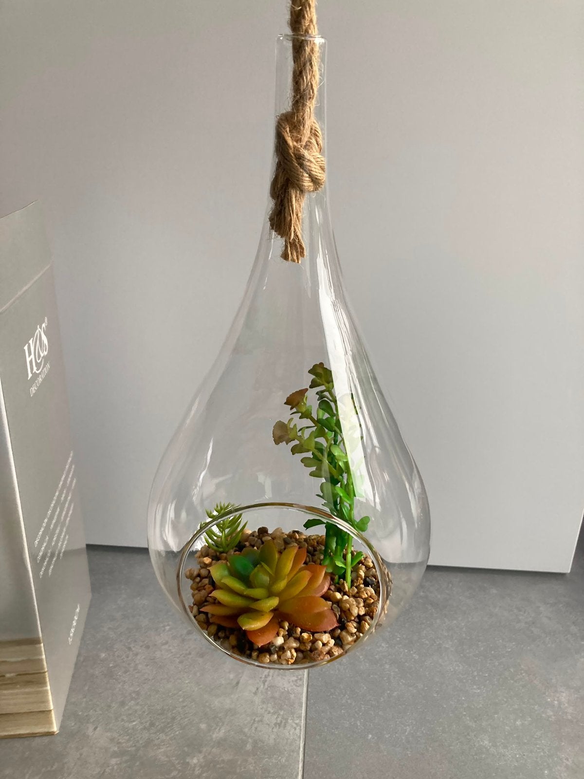 Glazen stolp met kunstplanten - terrarium, Huis en Inrichting, Woonaccessoires | Stolpen, Ophalen, 15 cm, Nieuw, Glas