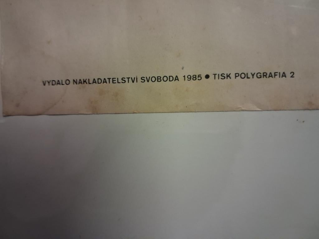 Oude Communistische partij poster, Ophalen of Verzenden, A1 t/m A3, Overige onderwerpen, Rechthoekig Staand