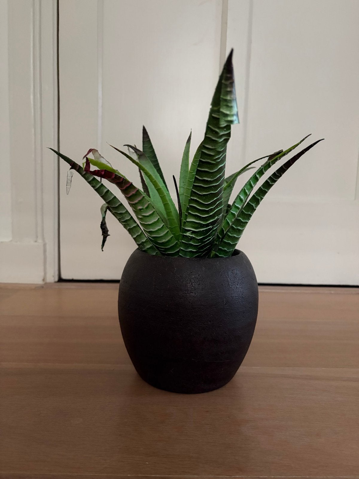 Decoratieve kunstplant in pot, Ophalen, Overige soorten, Halfschaduw, In pot