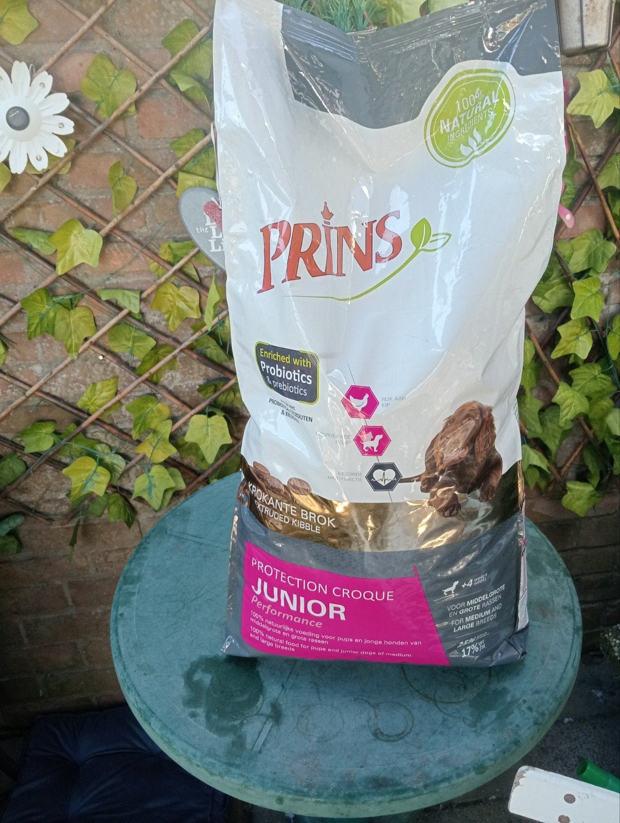 prins honden voer, Ophalen of Verzenden, Hond