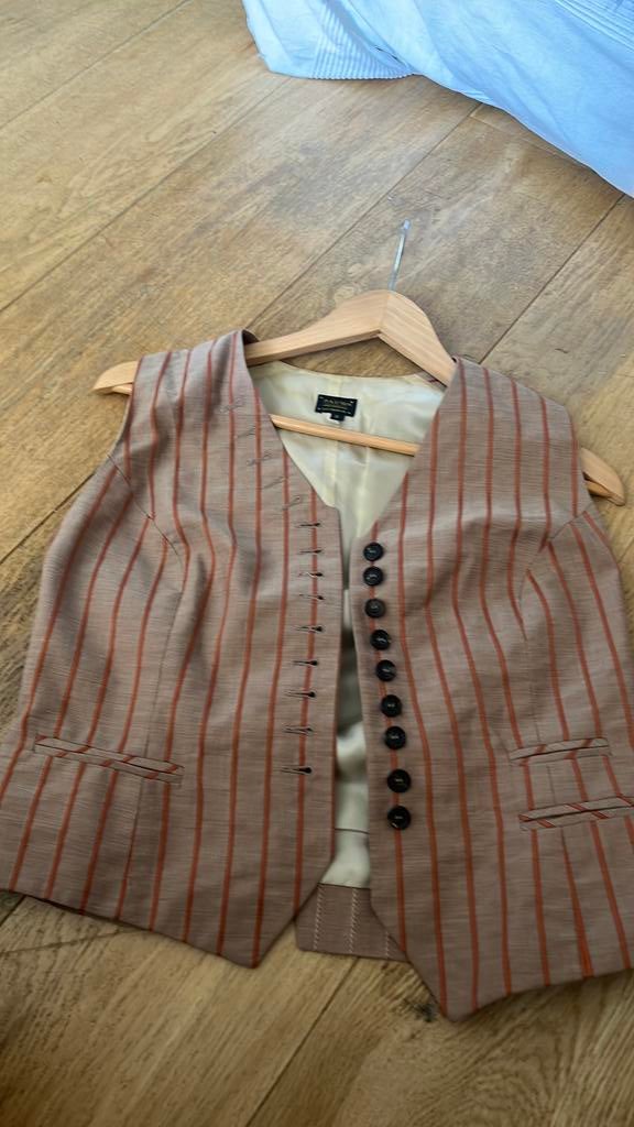 Paul gilet 2, Ophalen of Verzenden, Gedragen