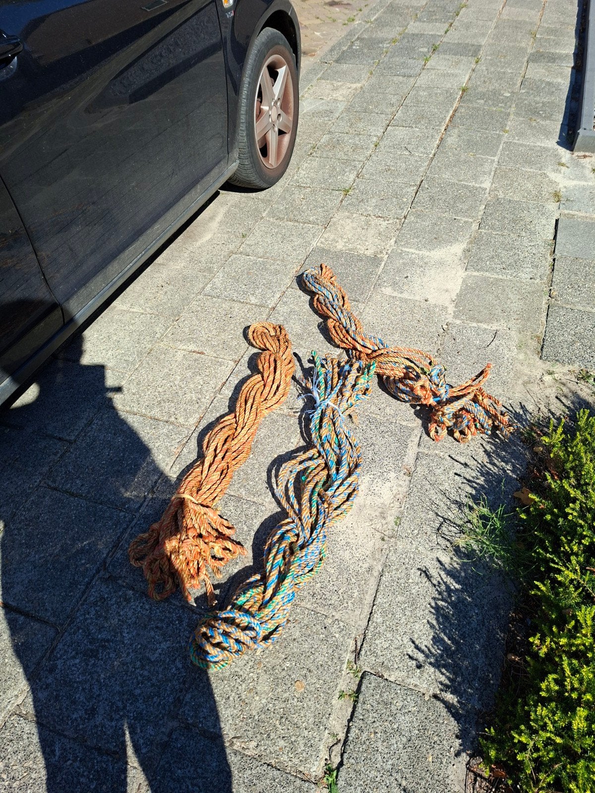 Touwen., Dieren en Toebehoren, Ophalen