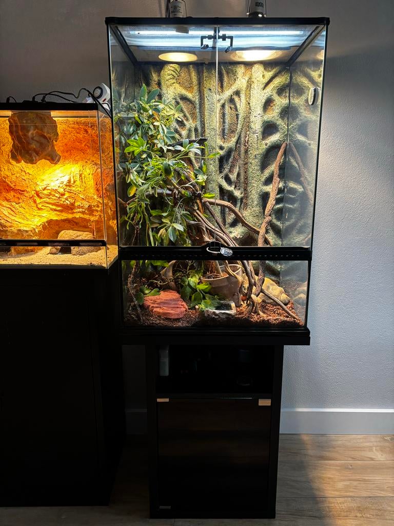 Exo terra terrarium 60 x 45 x 90 + exo terra meubel, Ophalen