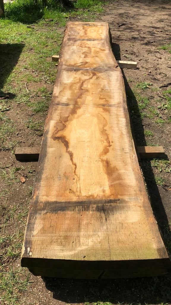 Dikke eiken houten plank. Gedroogd. 320 cm lang., Ophalen