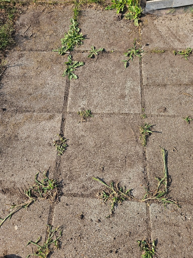 Betontegels 50 x 50 cm, Tuin en Terras, Tegels en Klinkers, Ophalen, Gebruikt, 5 tot 10 m², Beton