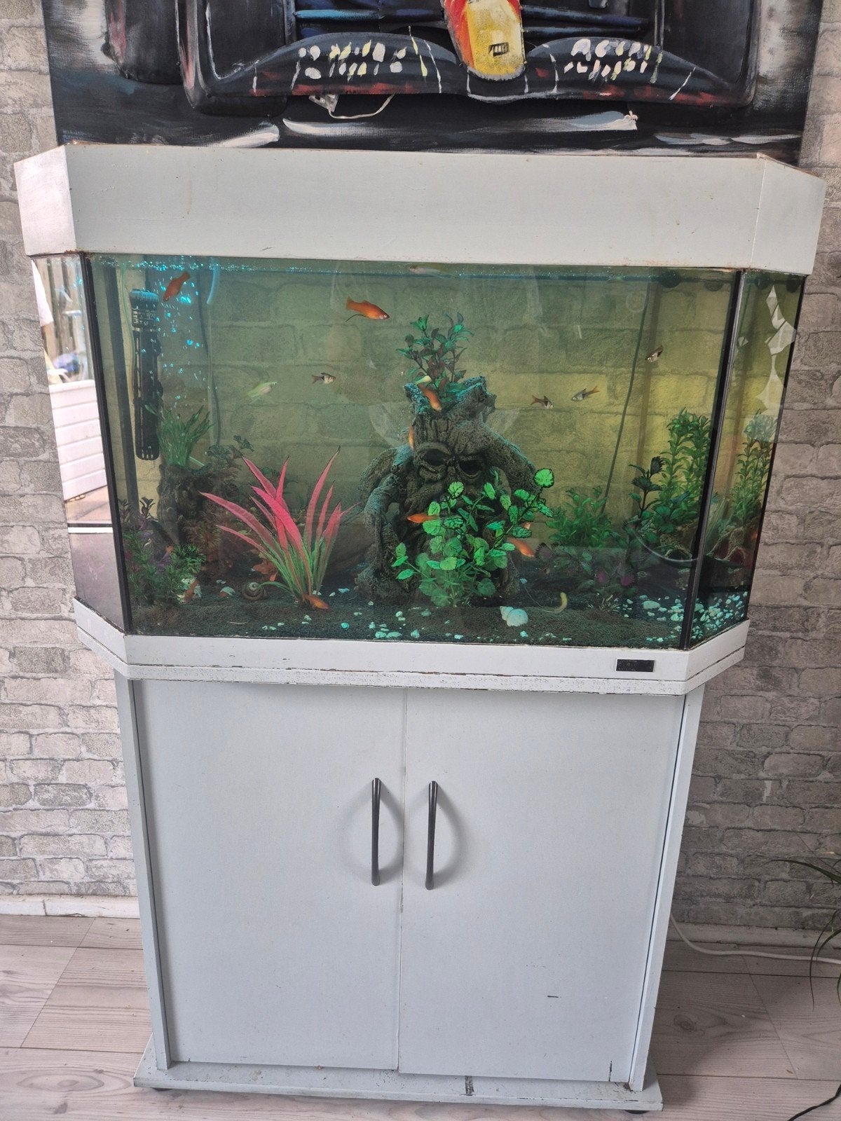 aquarium, Ophalen, Gebruikt, Leeg aquarium