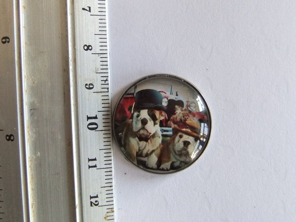 Speldje met Bull dog puppy`s met hoedjes, Verzamelen, Speldjes, Pins en Buttons, Ophalen of Verzenden, Nieuw, Dier of Natuur, Speldje of Pin