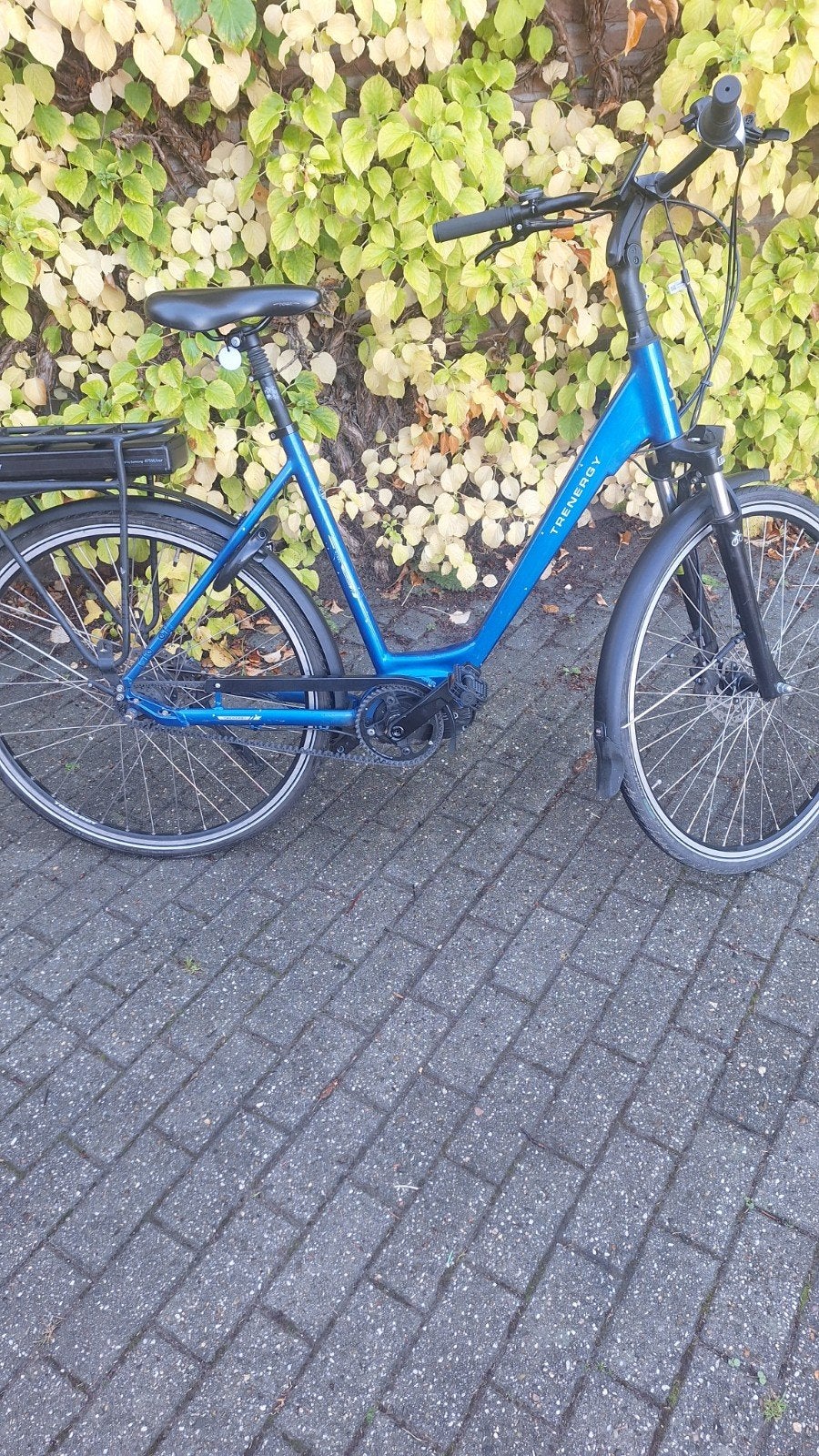 Trenergy E-bike met defect: geluid bij trappen, Fietsen en Brommers, Ophalen, Gebruikt, Overige merken