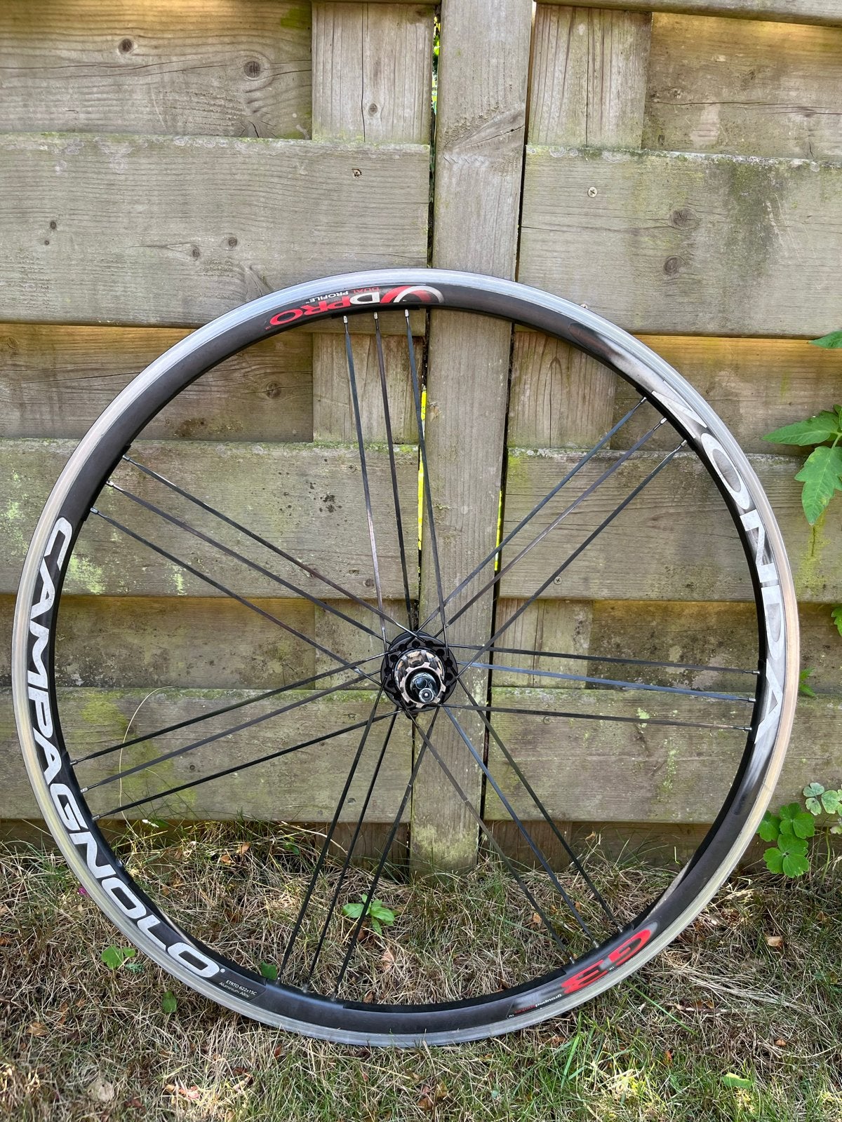 Mooie Campagnolo Zonda wielset! - Extra in prijs verlaagd, Wiel, Ophalen of Verzenden, Zo goed als nieuw, Aluminium