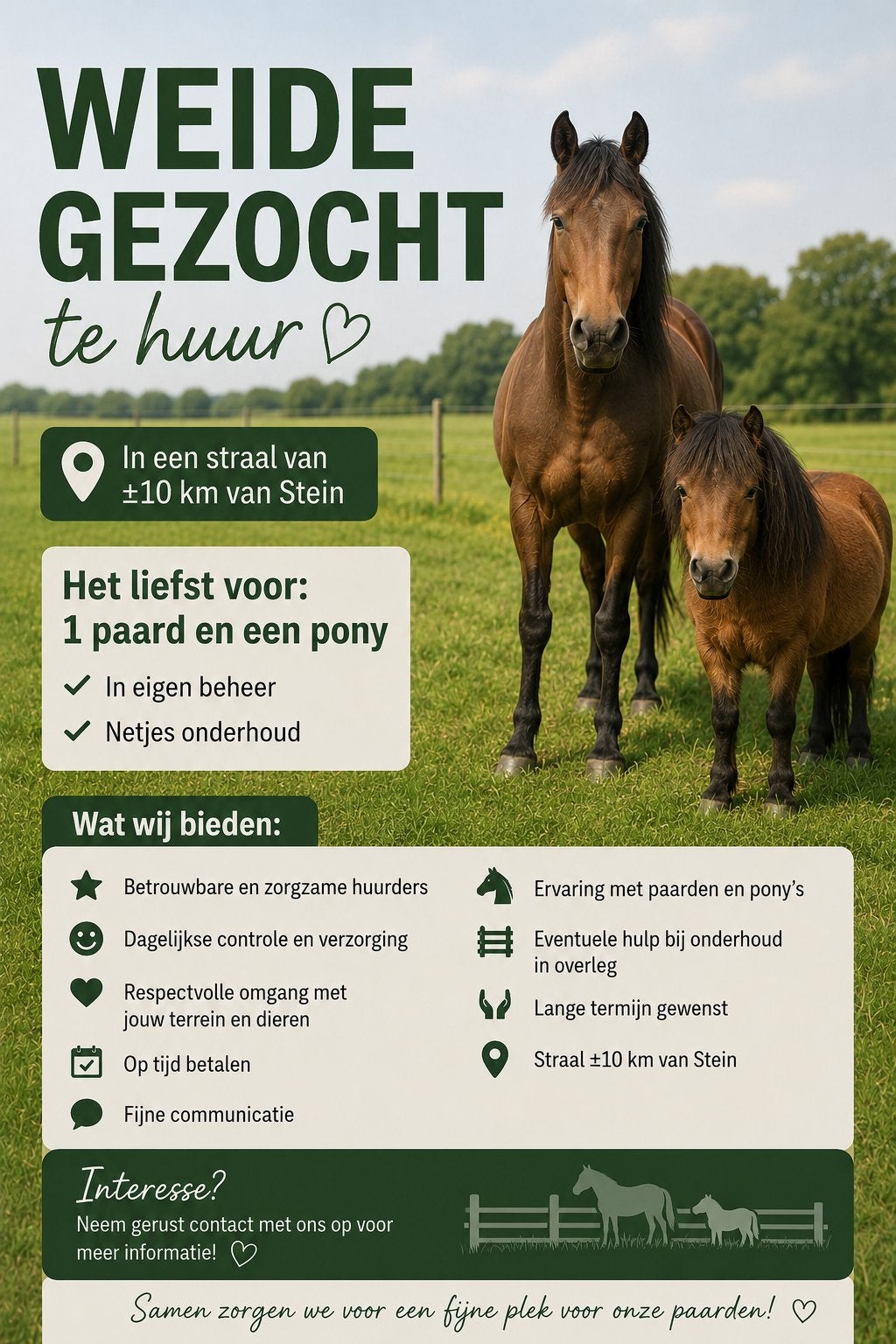 Weide gezocht, Weidegang, 2 of 3 paarden of pony's