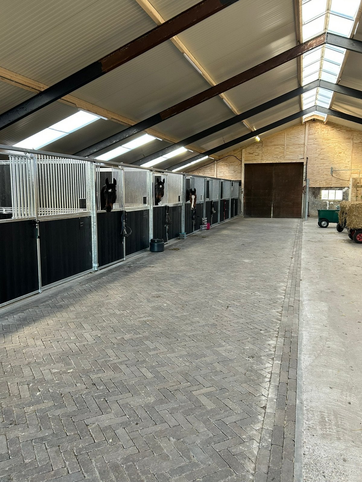 PAARDENBOXEN TE HUUR – ZEVENHUIZEN (GRONINGEN), Dieren en Toebehoren, Stalling, 4 paarden of pony's of meer