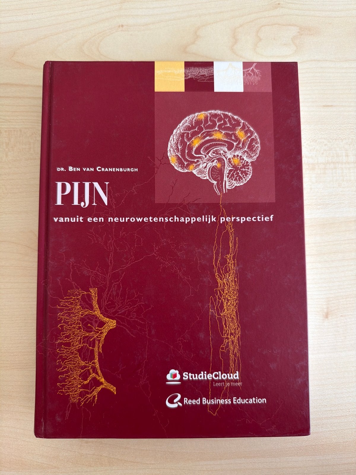 Pijn vanuit een neurowetenschappelijk perspectief, Boeken, Ophalen of Verzenden, Beta, Zo goed als nieuw, HBO