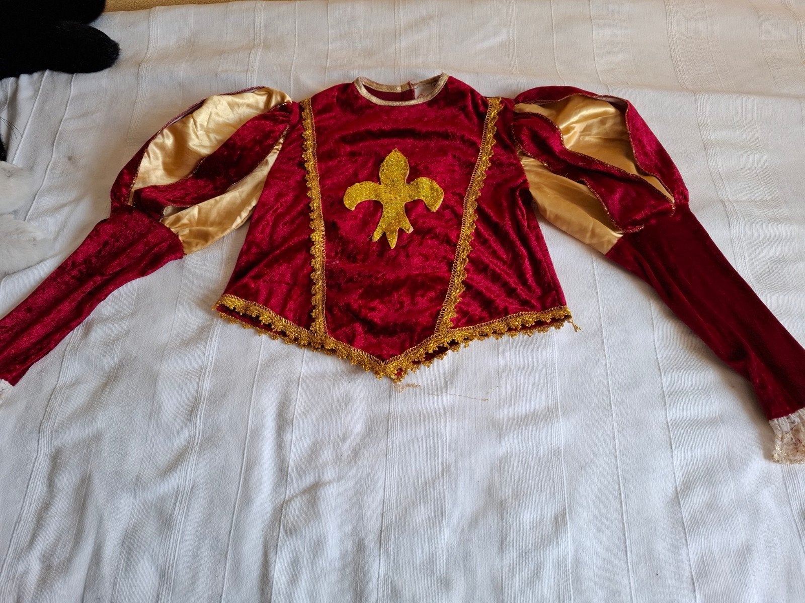 Carnavalspak Prins - Maat 128/134, Ophalen of Verzenden, Gebruikt, 122 t/m 128, Jongen