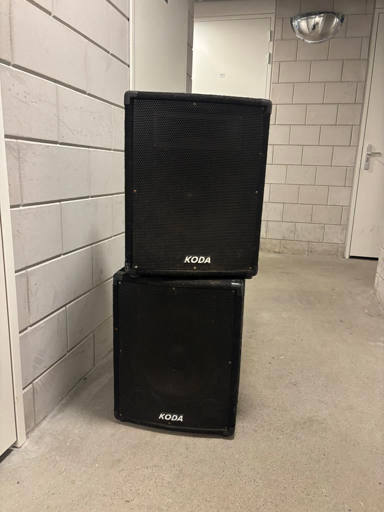 Koda EP-12 Professionele 12 inch PA Luidspreker 360W, Overige merken, Gebruikt, Ophalen of Verzenden, 120 watt of meer