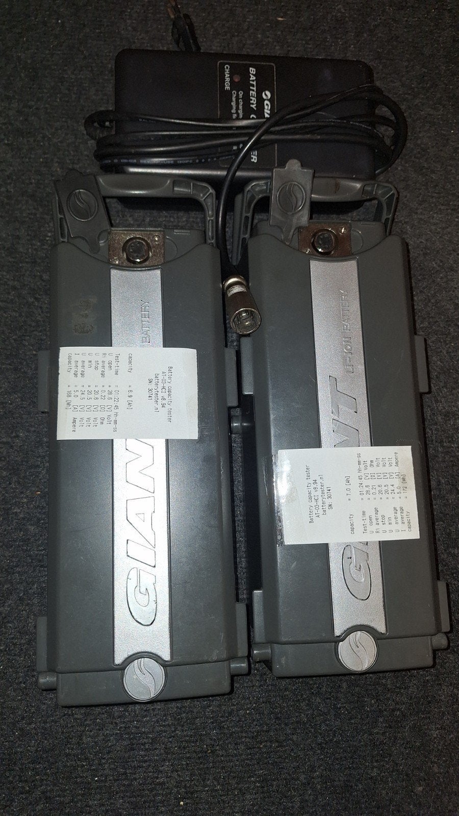 Giant Twist Accu's 26 Volt met Oplader - Getest, Gebruikt