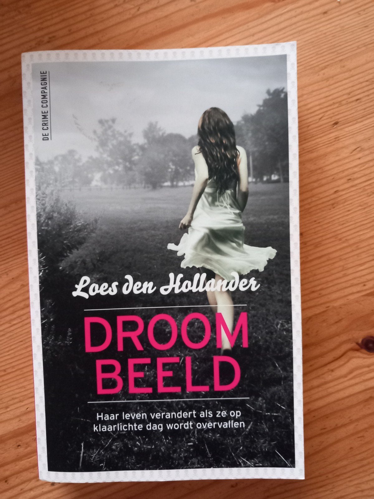 DROOM BEELD van Loes den Hollander., Ophalen of Verzenden, Zo goed als nieuw