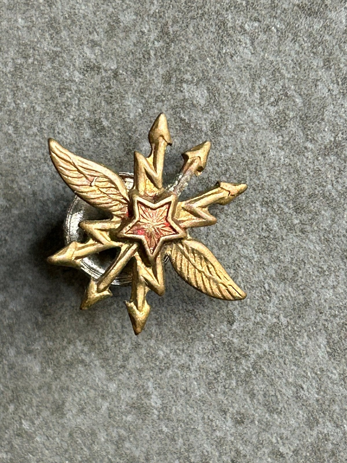 militaire kraagembleem of petinsigne (schroef), Ophalen of Verzenden, Overige gebieden