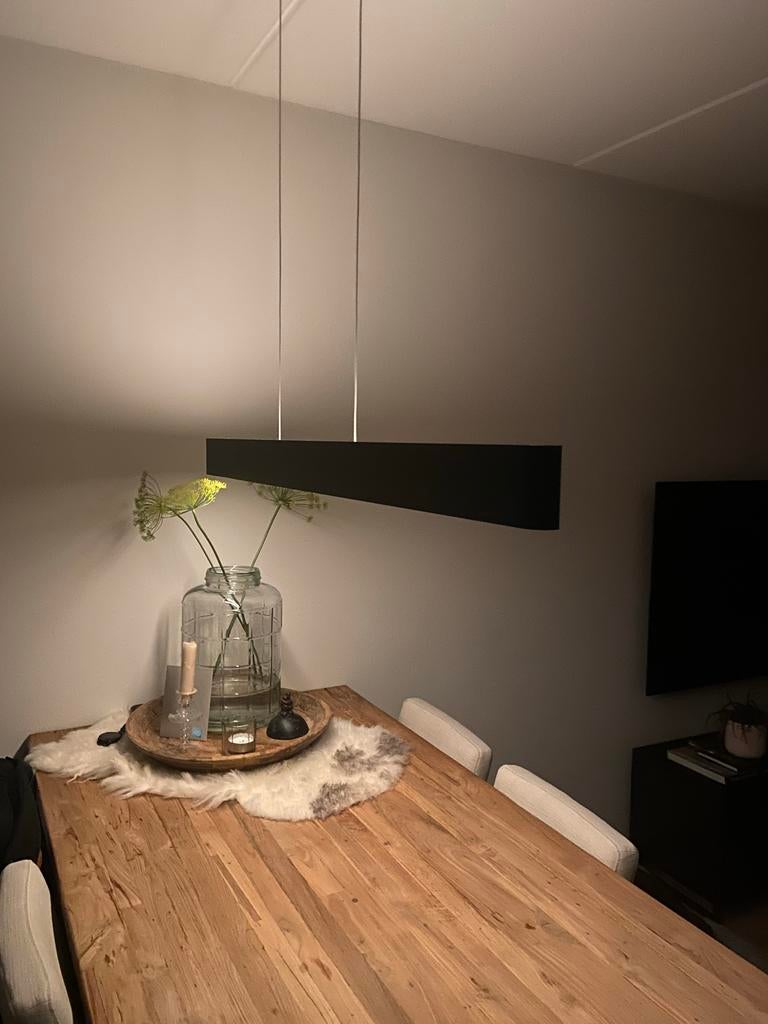 Philips Hue Ensis white en colour, Huis en Inrichting, Lampen | Hanglampen, Ophalen of Verzenden, Zo goed als nieuw, Metaal, 75 cm of meer