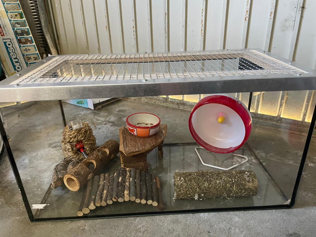 Hamster bak, Minder dan 75 cm, Zo goed als nieuw, Ophalen, Minder dan 60 cm