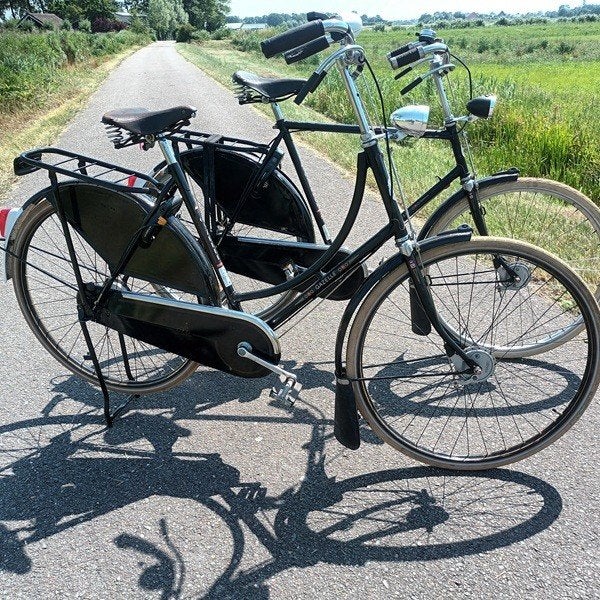 Gazelle  omafiets tour populair3V 230 euro heren of dames, Ophalen, Gebruikt, Versnellingen, 56 cm of meer
