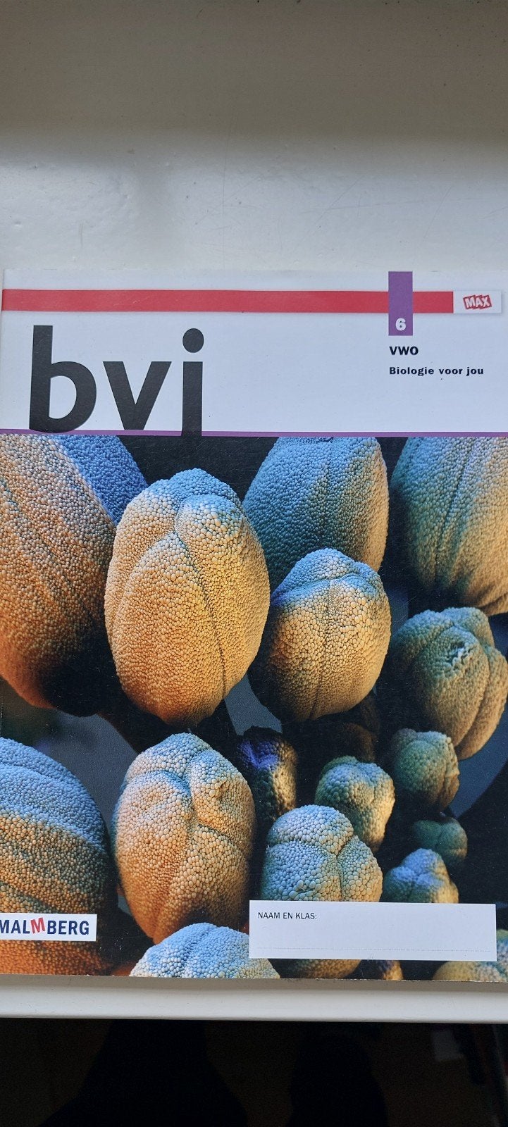 BVI Biologie voor jou VWO 6 Malmberg, Boeken, Ophalen of Verzenden, Zo goed als nieuw, WO, Ilse Gmelig, Lineke Pijnappels, Marianne Gommers, Arthur Jansen