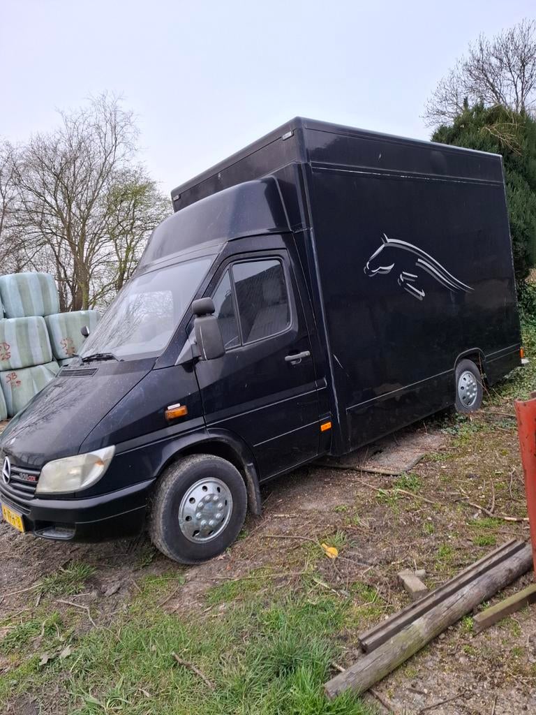 Paardenwagen, Mercedes sprinter hengsten uitvoering, Ophalen, Gebruikt, Overige typen