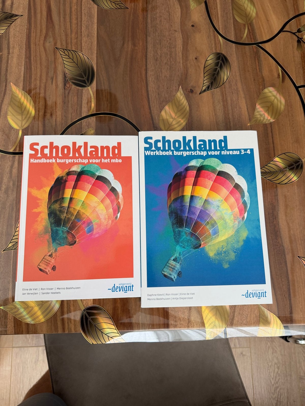 Schokland Handboek en Werkboek burgerschap mbo niveau 3-4, Ophalen of Verzenden, Zo goed als nieuw, Overige niveaus, Overige vakken