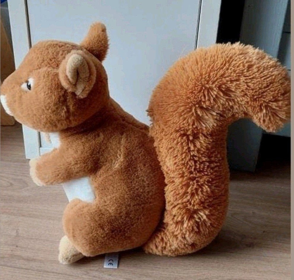 Hele leuke eekhoorn knuffel.nieuw, Ophalen of Verzenden, Overige typen