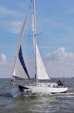 Scheldeschouw, 9 meter, Watersport en Boten, Kajuitzeilboten en Zeiljachten, Platbodem, Diesel, Ophalen