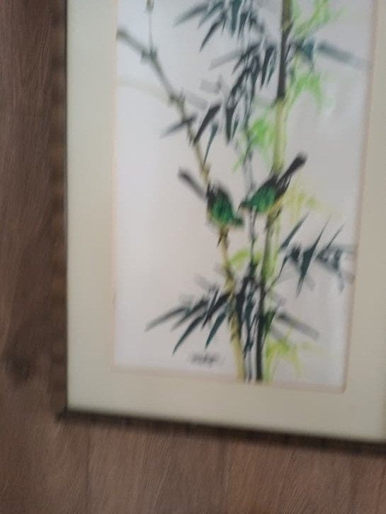 3 ingelijste Aziatische voorstellingen: bamboe en vogels, Ophalen, Schilderij, Ingelijst, Papier/karton