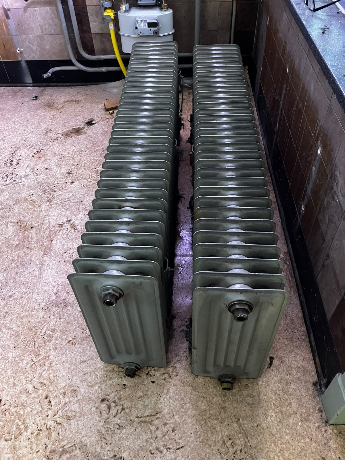 Gietijzeren Radiator - Klassiek Design, Ophalen, 30 tot 80 cm, Gebruikt, Radiator