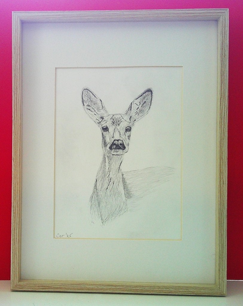Ree, Ophalen of Verzenden, Tekening, Potloodtekening, Gesigneerd