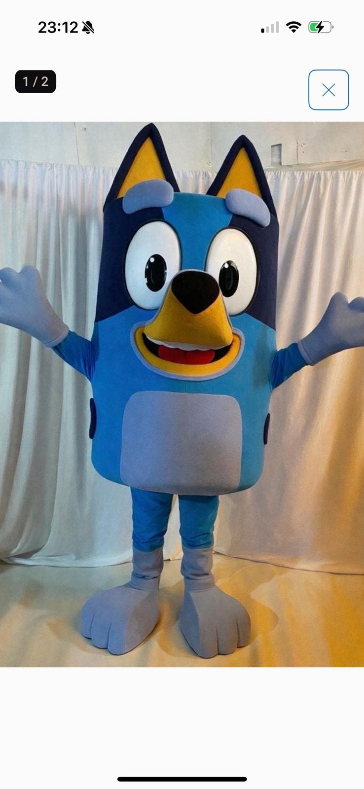 BLEUY MASCOTTE verhuur, Hobby en Vrije tijd, Feestartikelen | Verhuur, Zo goed als nieuw, Ophalen of Verzenden