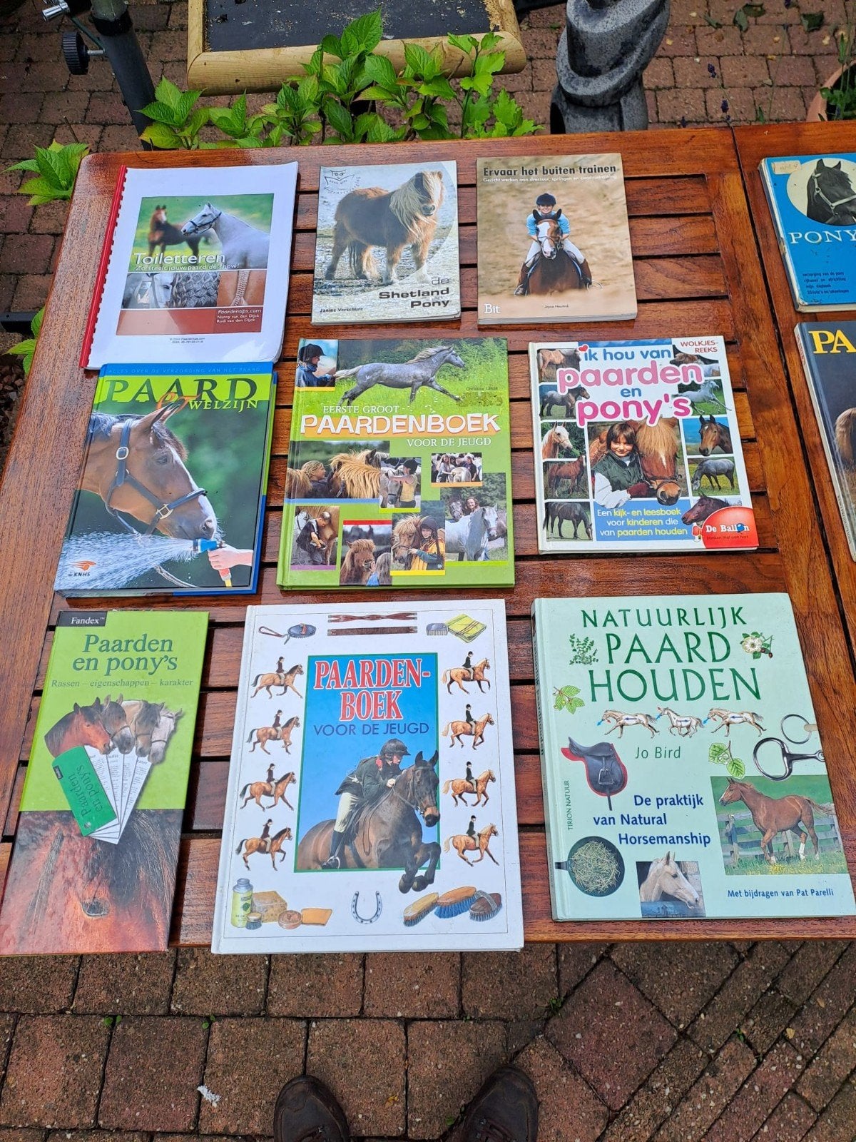 Grote collectie paardenboeken - diverse titels, Ophalen of Verzenden, Gelezen, Paarden of Pony's, Diverse auteurs