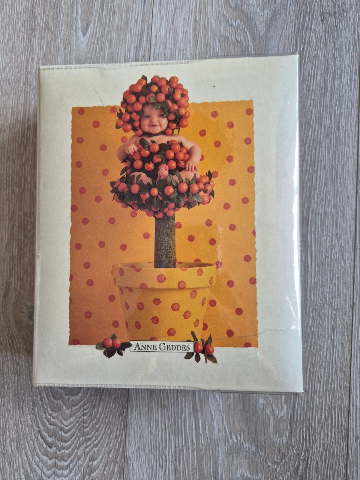 Anne Geddes 100 kaarten in mooi album, Ophalen of Verzenden