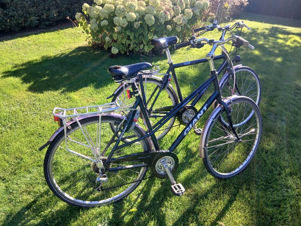 Giant Jubilee + Giant Freerider (set) - sámen voor €95,- !!, Fietsen en Brommers, Ophalen, Gebruikt, Versnellingen, Giant