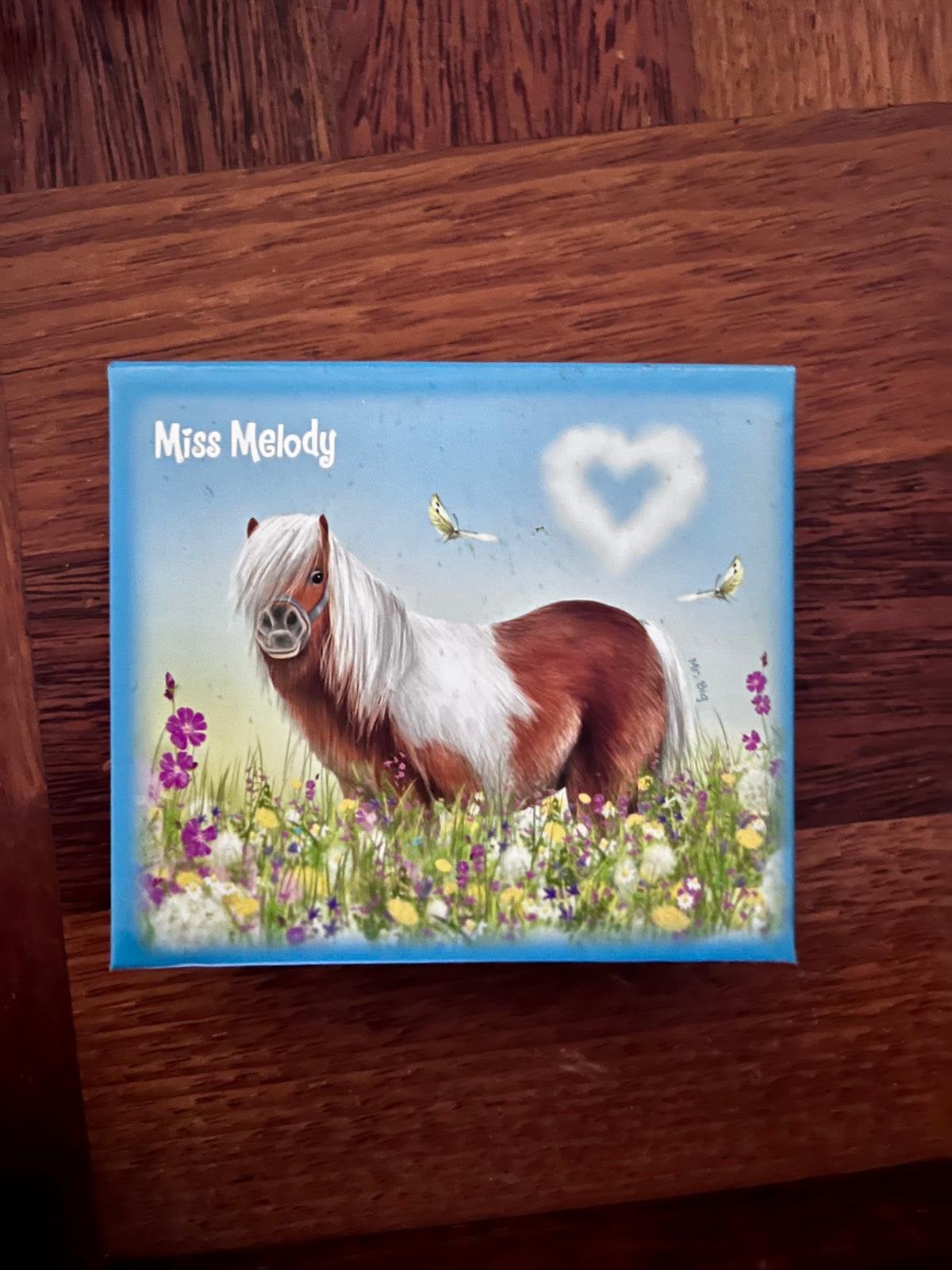 Bewaardoosje met notieblaadjes paarden - Miss Melody, Ophalen of Verzenden, Zo goed als nieuw
