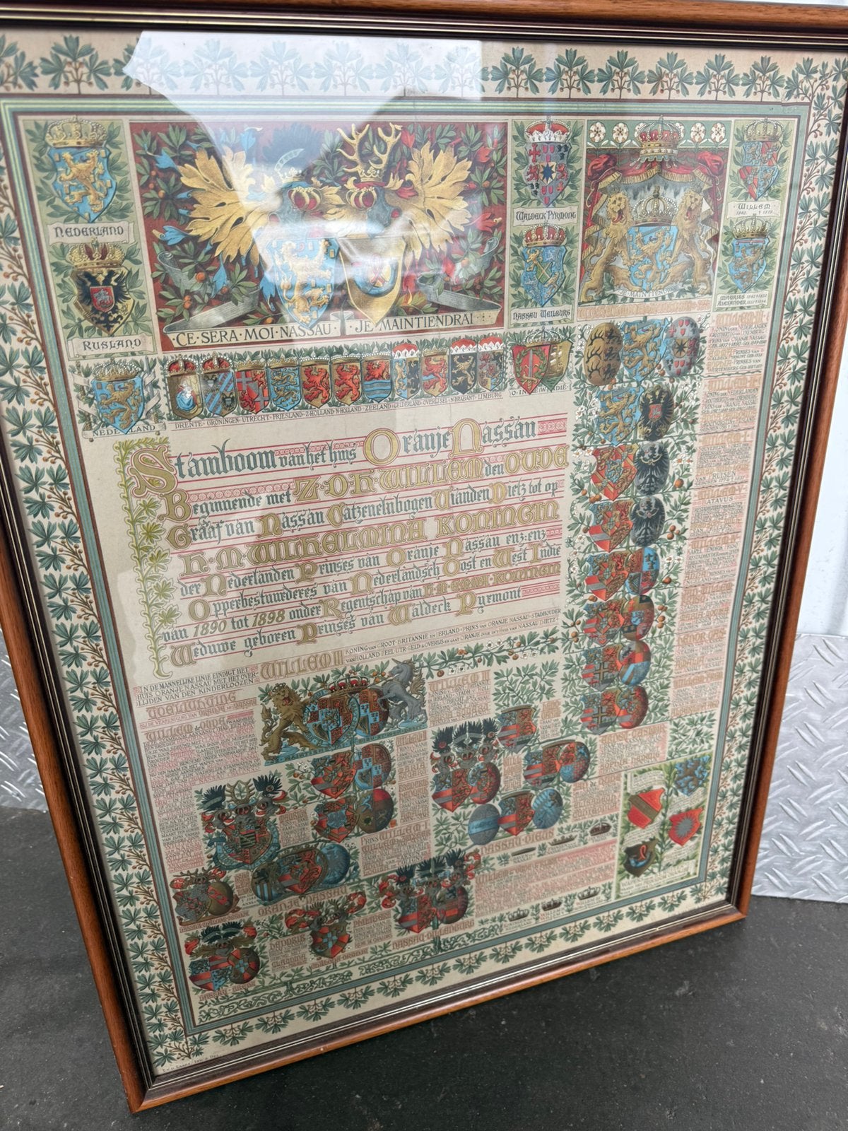 Mint! Stamboom Huis van Oranje 1900 | Tiete van der Laars, Verzamelen, Ophalen, Zo goed als nieuw, Nederland, Kaart, Foto of Prent